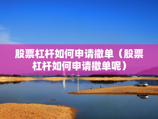 股票杠杆如何申请撤单（股票杠杆如何申请撤单呢）
